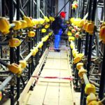 Un momento dell'dell'evento Officina L'Aquila alla presenza del sottosegretario all'Economia con delega alla Ricostruzione Paola De Micheli, con la visita ai cantieri della citta' dopo il terremoto del 2009. L'Aquila, 24 maggio 2016. ANSA/ CLAUDIO LATTANZIO